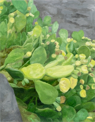 work_image_A seedless watermelon, thornless cactus_Yerim Choi